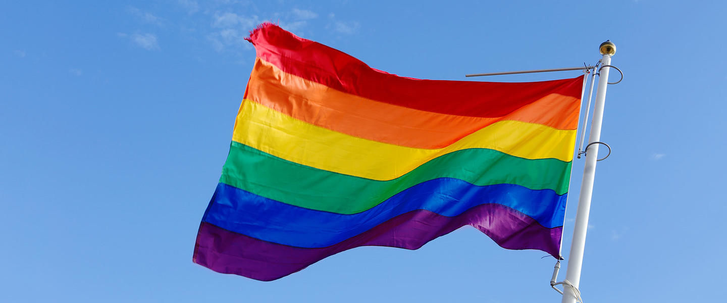Rainbow flag in the wind